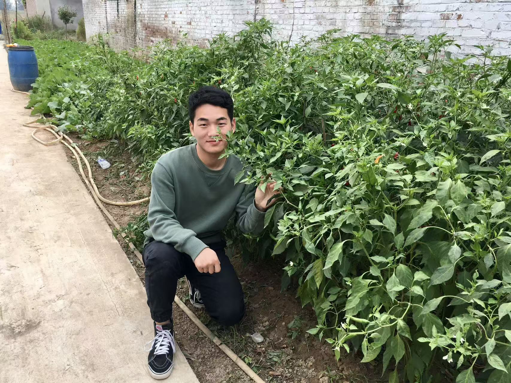 1764059866367866.jpg c2dd66d8331a77216bb2d697e2710fdf.jpg