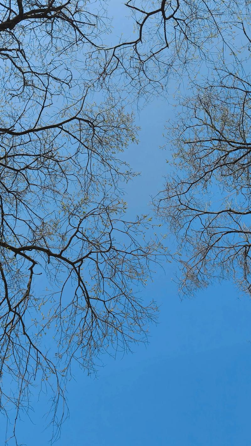 光阴似箭，日月如梭！