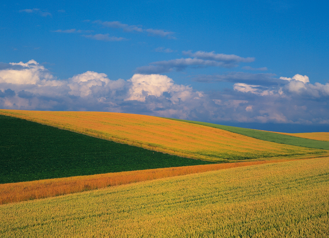 坚信一点：你现在所经历的，不管是好的、坏的、开心的、痛苦的，都是最好的安排。