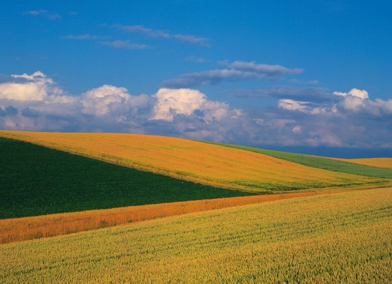 坚信一点：你现在所经历的，不管是好的、坏的、开心的、痛苦的，都是最好的安排。